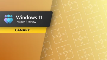 Windows 11 Canary Channel Update