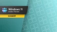 Windows 11 Canary Channel Update