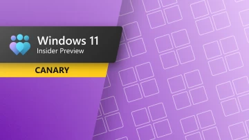 Windows 11 Canary Channel Update