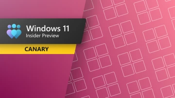 Windows 11 Canary Channel Update