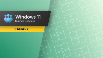 Windows 11 Canary Channel Update