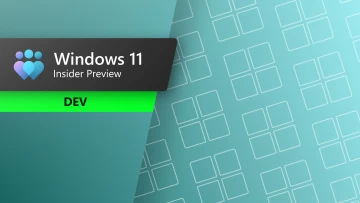 Windows 11 Dev Channel update