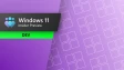 Windows 11 Dev Channel update