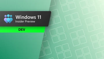 Windows 11 Dev Channel update