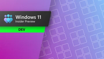 Windows 11 Dev Channel update