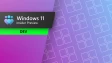 Windows 11 Dev Channel update