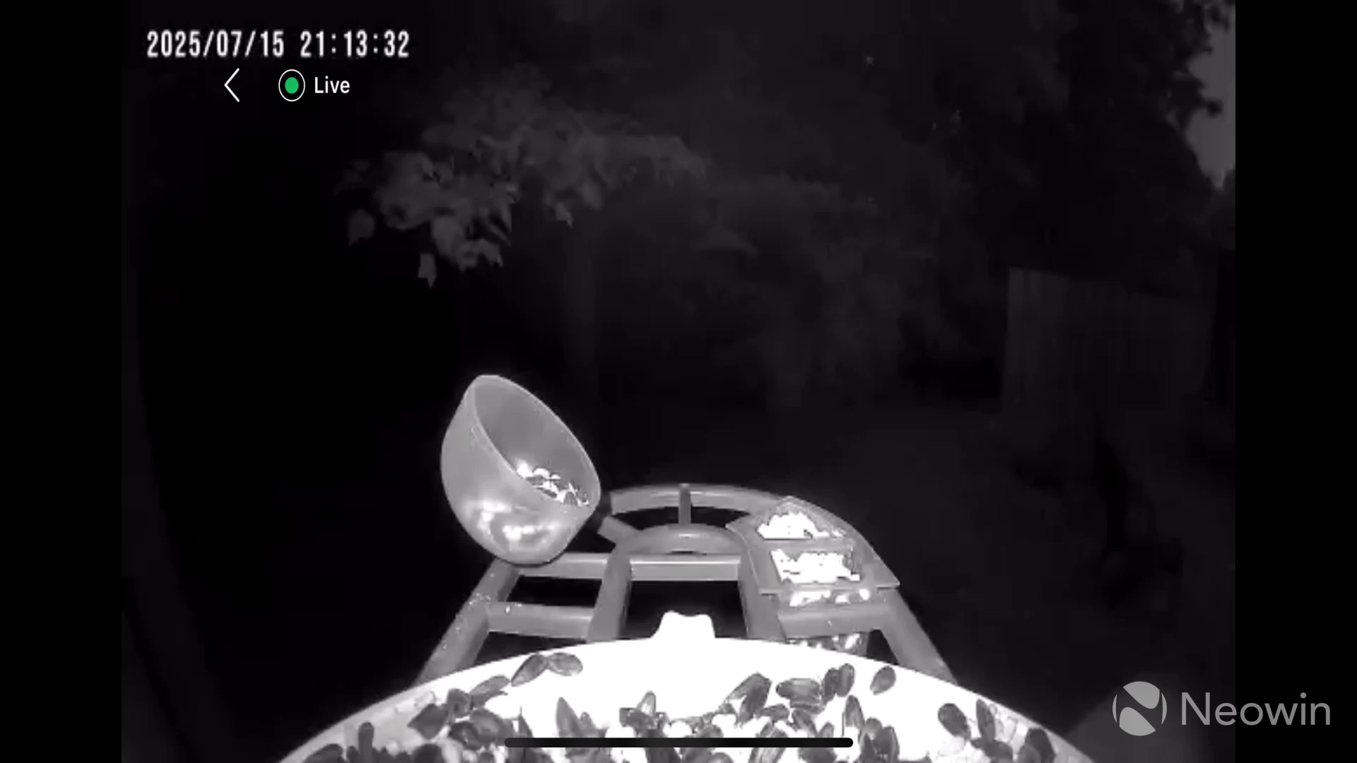 A photo from the Harymor Q8 Smart Bird Feeder showing image at night