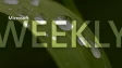 A Microsoft Weekly banner