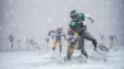 EA sports madden 26