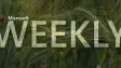 A Microsoft Weekly banner