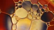 gold bubbles