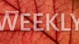 A Microsoft Weekly banner