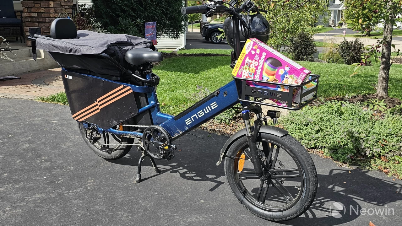 Photo of the ENGWE LE20 with cargo