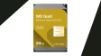 wd gold 24tb
