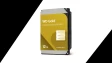 wd gold 12tb