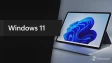 windows 11 logo