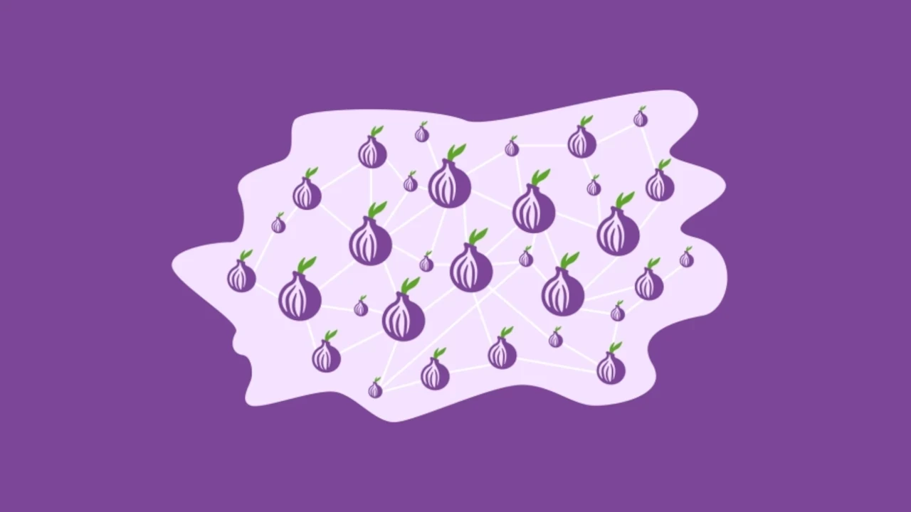 A group fo Tor onions