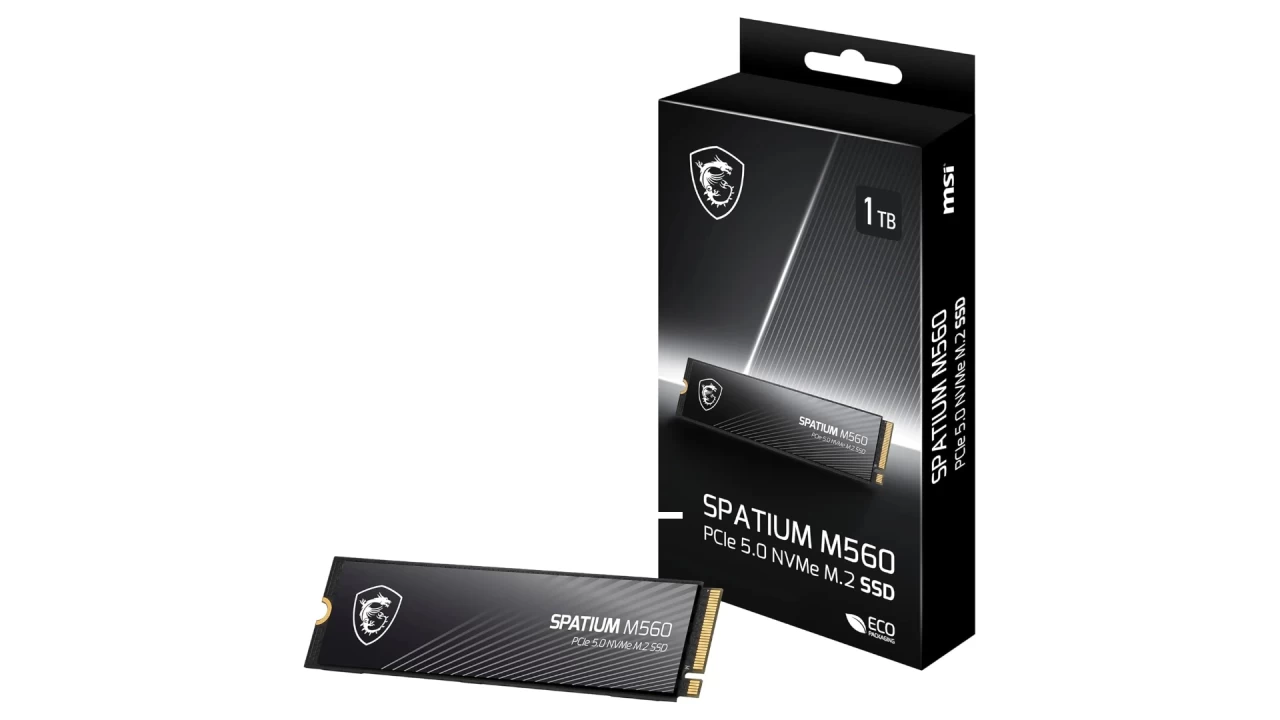 The MSI Spatum M560 SSD