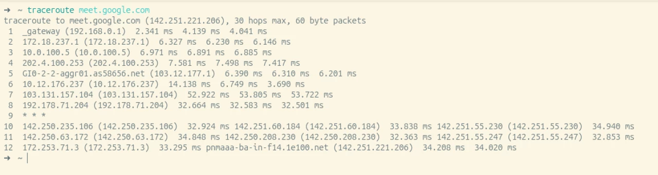 Screenshot showing traceroute for Google Meet