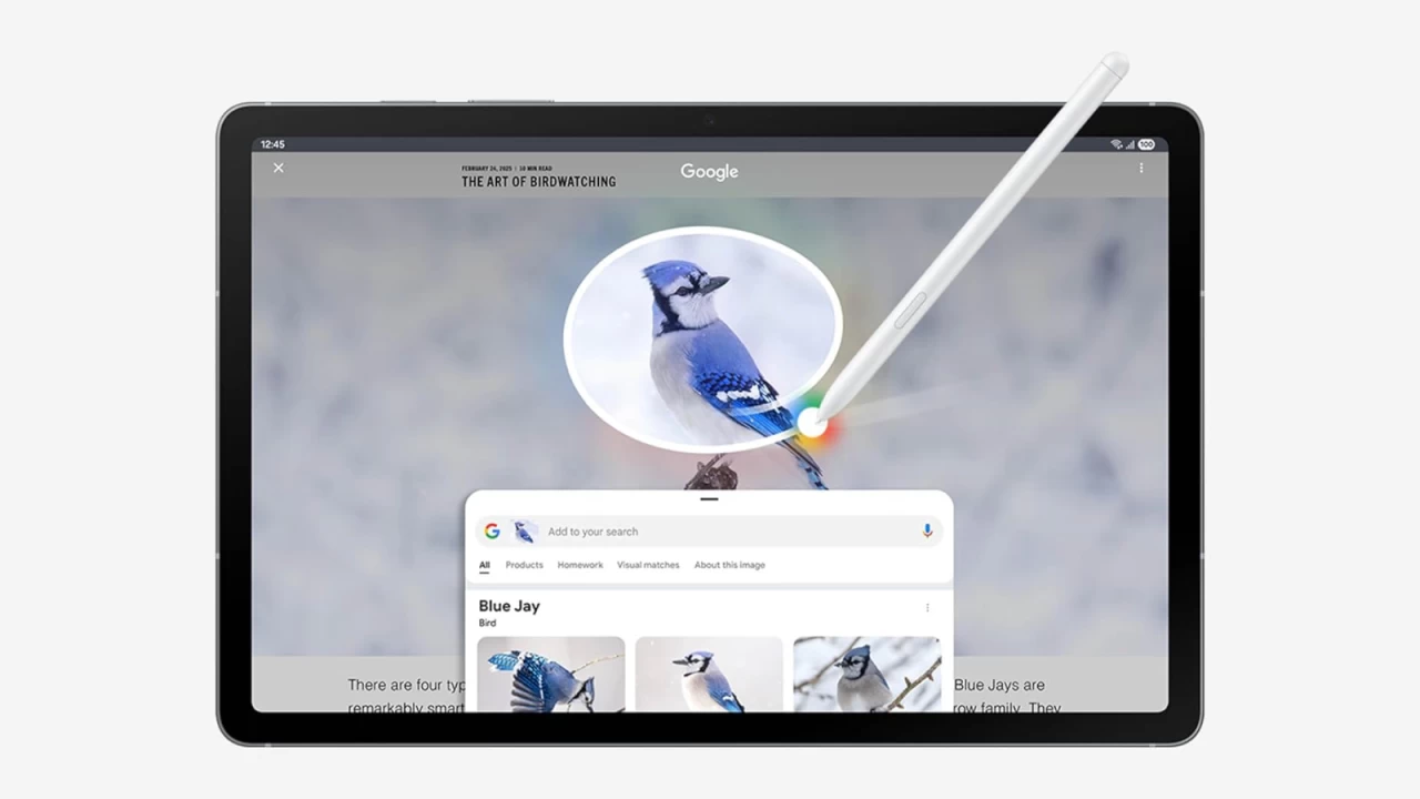 The Samsung Galaxy Tab S10 FE