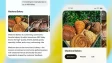 ChatGPT Search