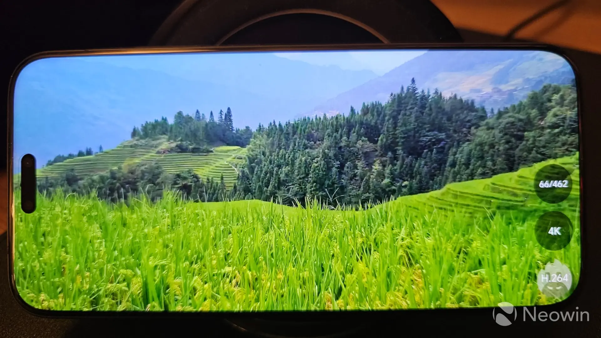 honor magic8 pro