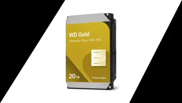 wd gold 20tb