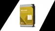 wd gold 20tb