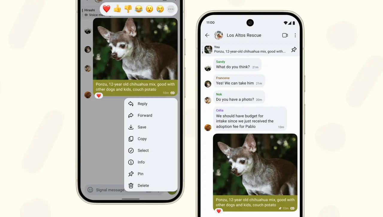 Side-by-side screenshots showing a message being pinned and the way the message appears after it has