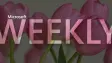 A Microsoft Weekly banner