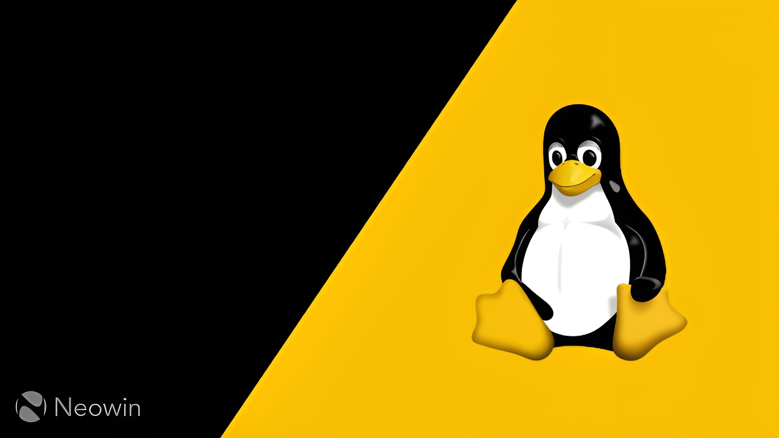 Unexpected Linux goofup | AV2 is coming| php_mageddon — Neowin Newsletter