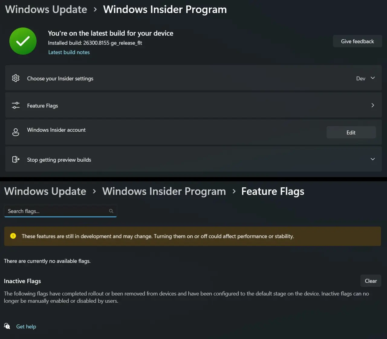 Windows 11 Feature flags