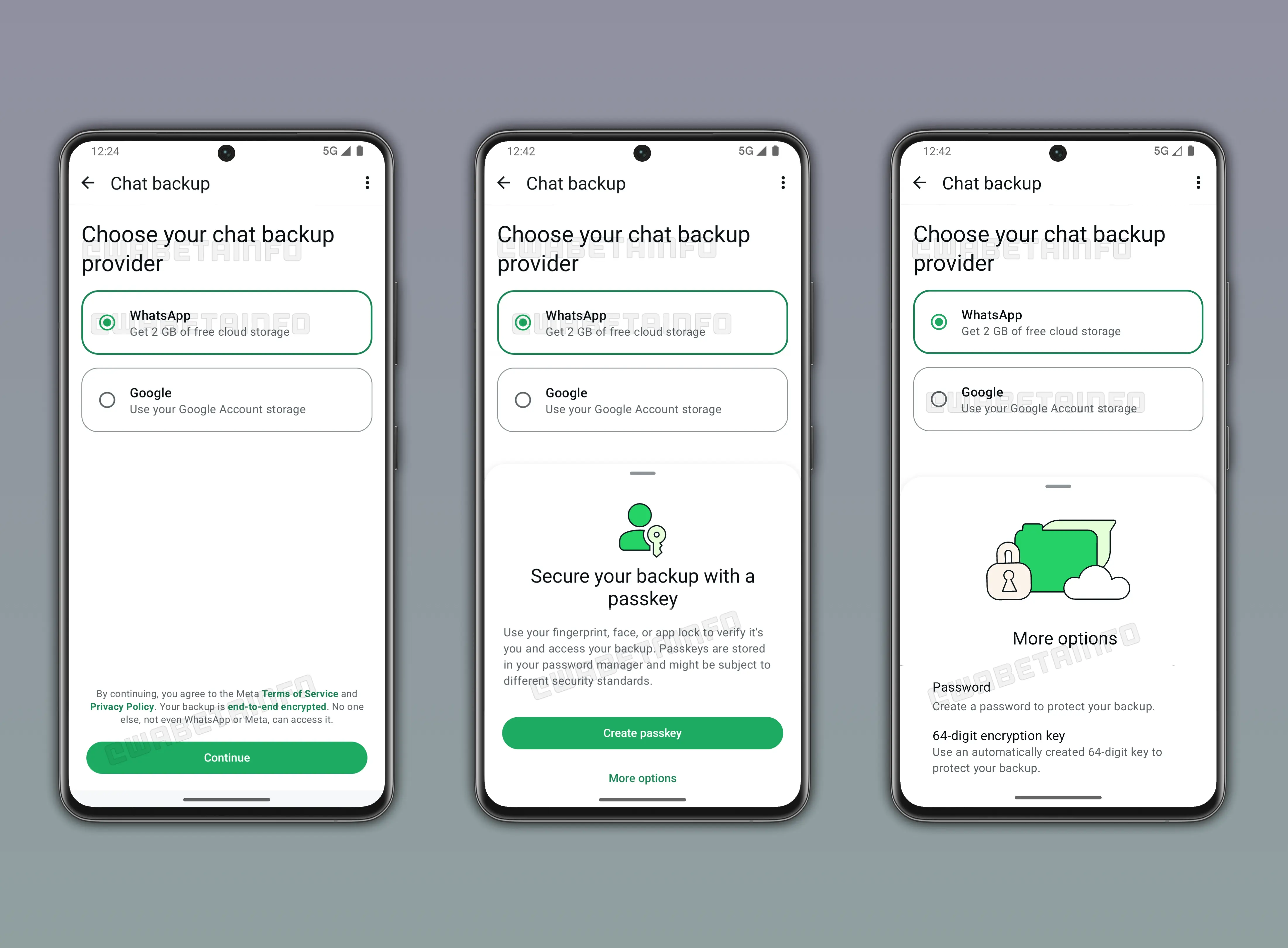 Choose backup service in WhatsApp