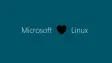 Microsoft loves Linux but with a black heart
