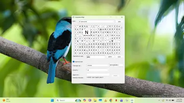 Character Map open in Windows 11