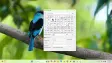 Character Map open in Windows 11