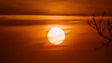 the sun