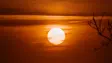 the sun