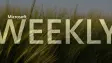 A Microsoft Weekly promo