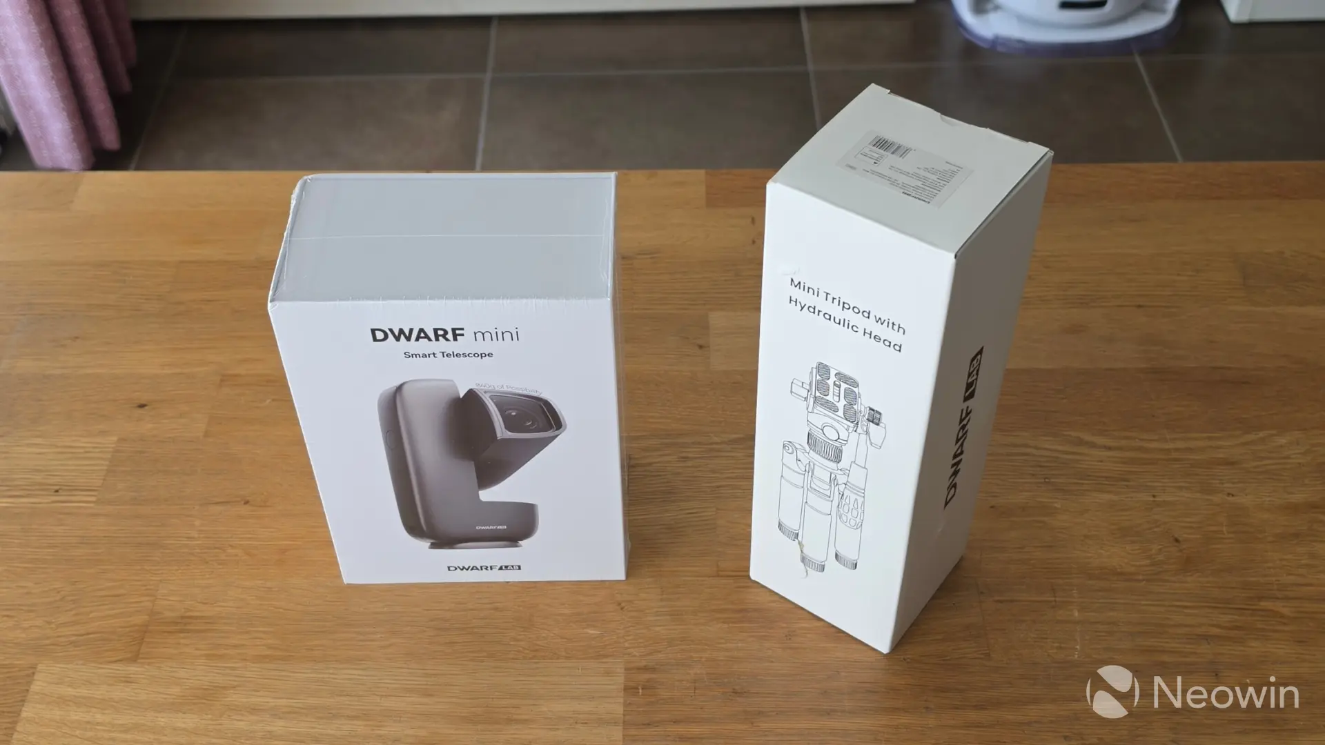 dwarf mini