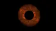 eye in red looking like craters