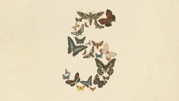 Claude Fable 5