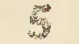 Claude Fable 5