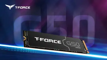 1781626572_g50_01