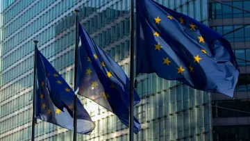 EU flags
