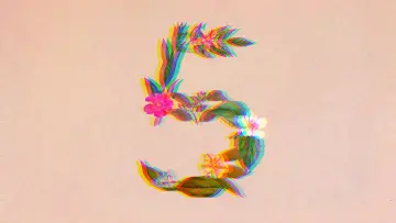 Claude Sonnet 5 glitch