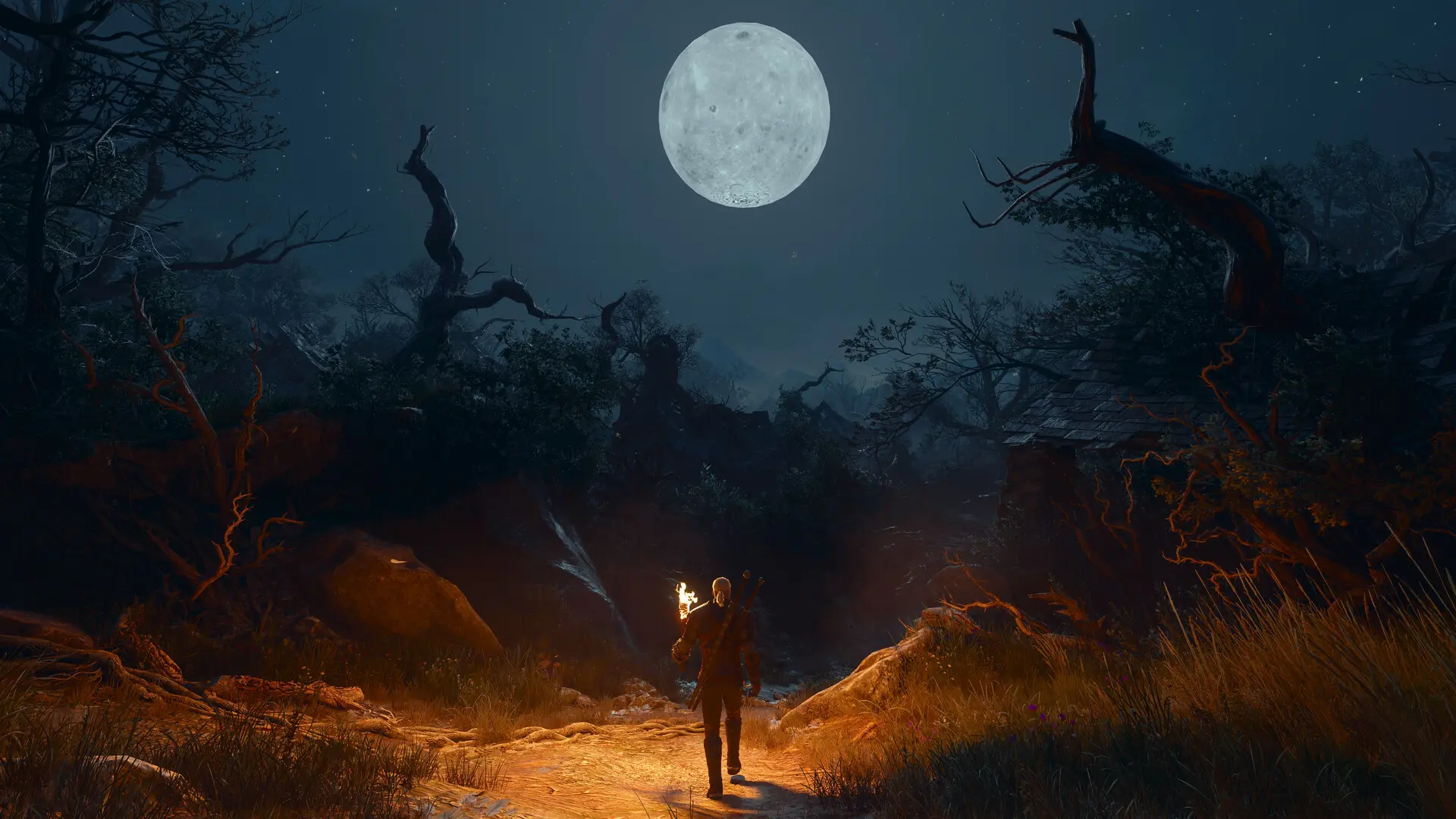 Path Traced Image The Witcher 3 remaster's full PC requirements reveal Path Tracing ...