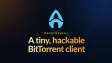 NanoTorrent