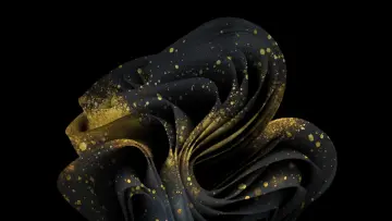 Windows 11 50 th anniversary special golden black bloom wallpaper